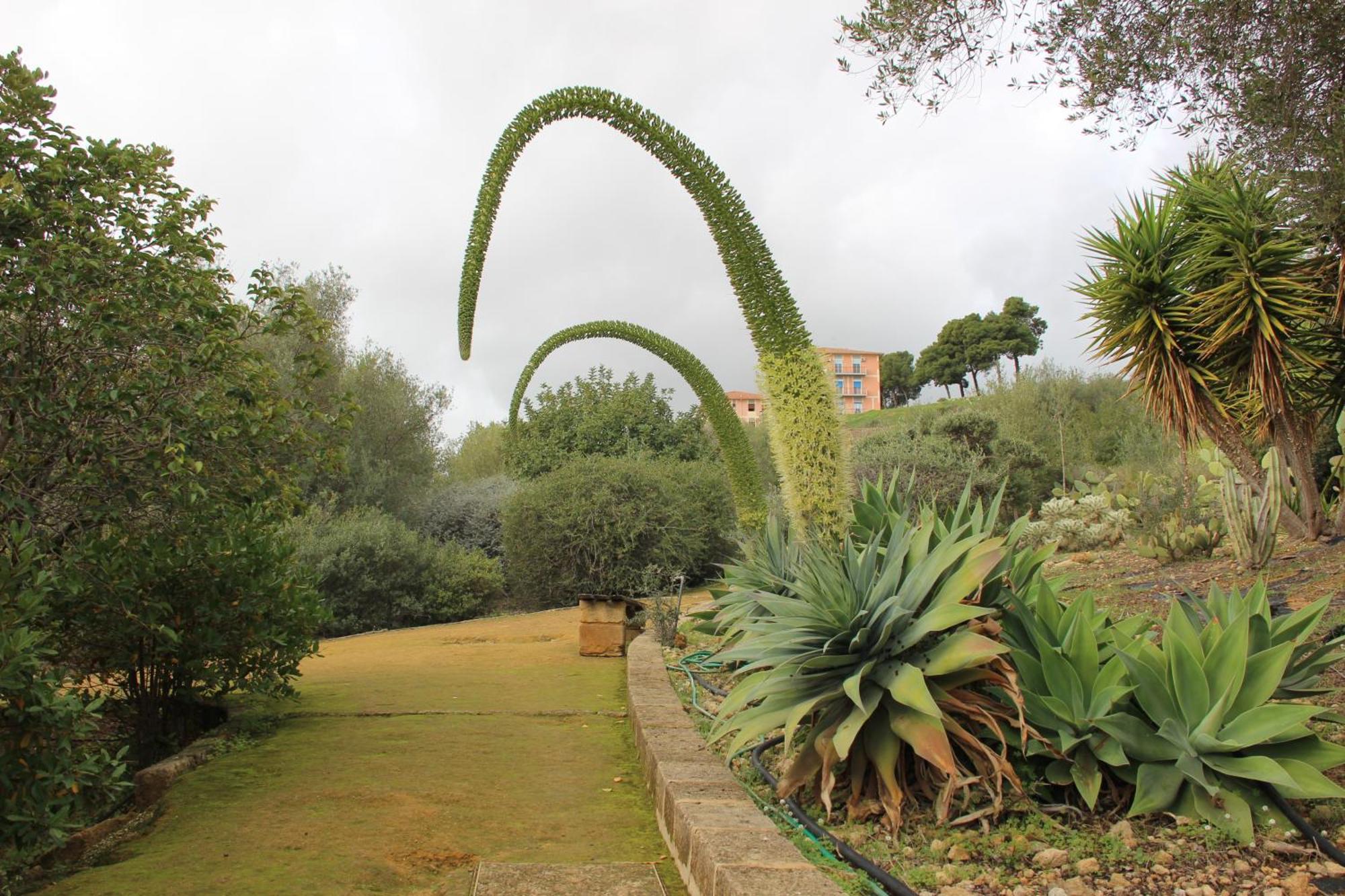 B&B Villa Adriana San Leone Exteriér fotografie